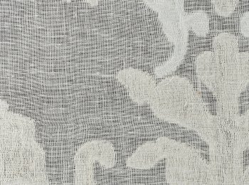 Photo of ethereal l.beige