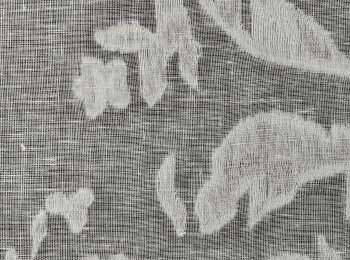 Photo of ethereal grey