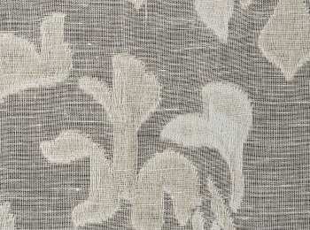 Photo of ethereal taupe