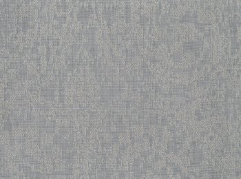 Photo of excellent aqua