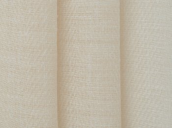 Photo of exeresis natur