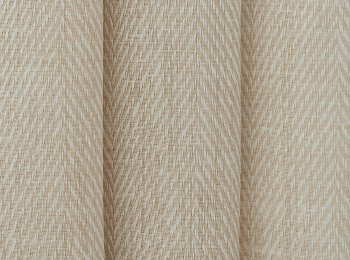 Photo of exeresis l.beige