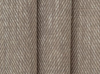 Photo of exeresis chocolate