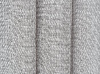 Photo of exeresis grey