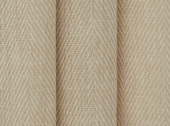 Photo of exeresis ochre