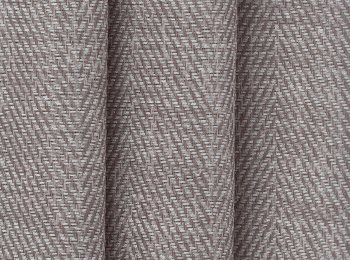 Photo of exeresis mocha