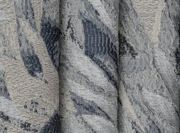 Photo of exotica blue-grey