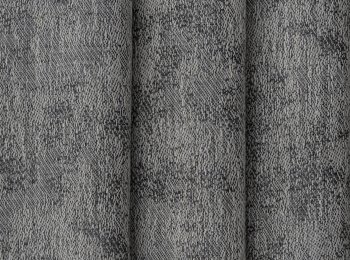 Photo of explore elephant