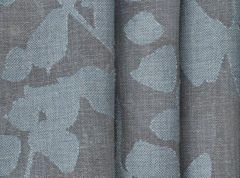 Photo of fall blue-grey