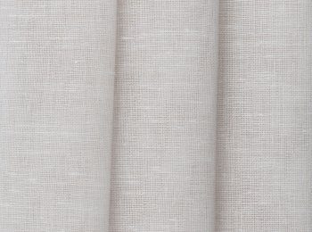 Photo of fly l.taupe