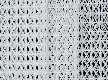 Photo of foresight white