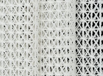 Photo of foresight natur