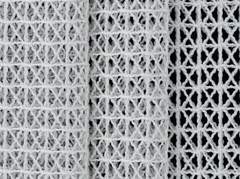 Photo of foresight ice