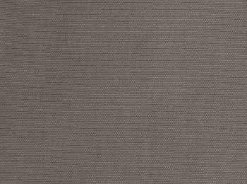 Photo of fortune camel