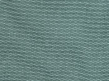 Photo of fortune mint