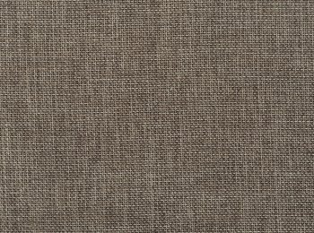 Photo of forward brown