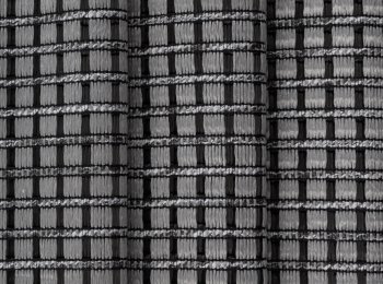 Photo of gemini elephant