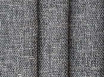 Photo of genesis elephant