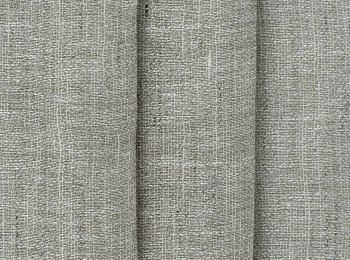 Photo of habitat d.taupe