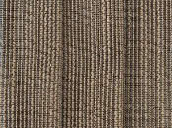 Photo of havana olive