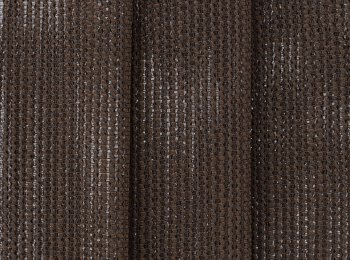 Photo of havana wenge