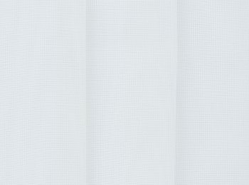 Photo of hollywood white