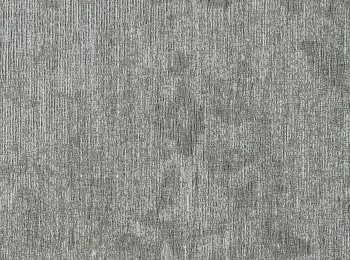 Photo of iphigenia taupe