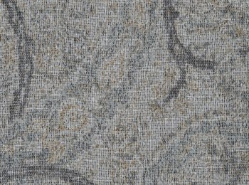 Photo of jaipur olive