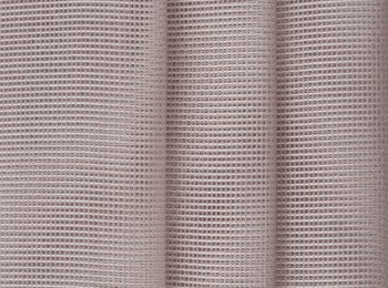 Photo of leomar pink