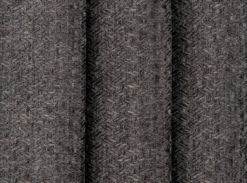 Photo of leon elephant