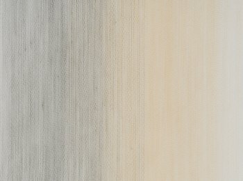 Photo of libra beige-grey