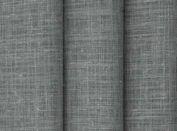 Photo of linea olive