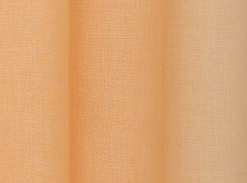 Photo of look apricot