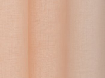 Photo of look salmon