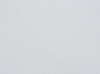 Photo of lovable white