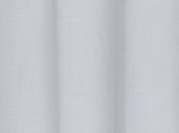 Photo of lovely white