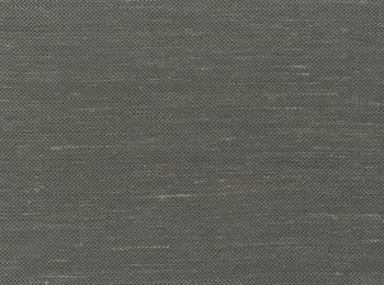 Photo of lumen anthracite