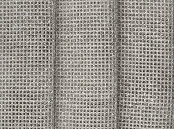 Photo of mae d.taupe