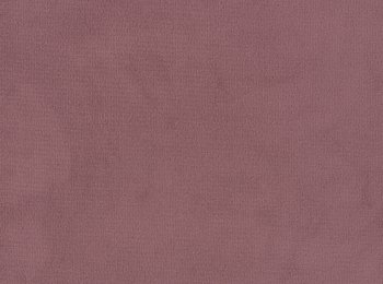 Photo of velvet magical rose