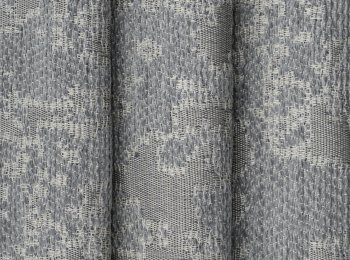 Photo of marshall elephant