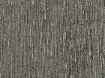 Photo of maxim anthracite