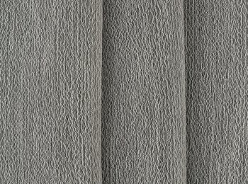 Photo of memory elephant