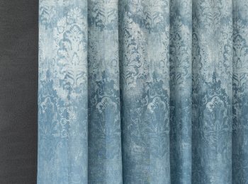 Photo of mirabilis l.blue