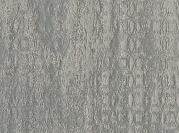 Photo of monadic l.grey