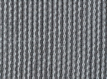 Photo of nexus elephant