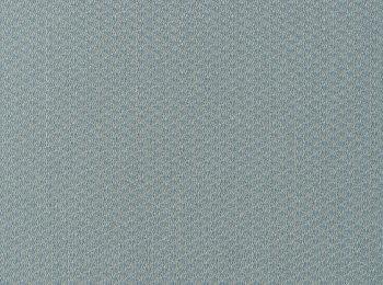 Photo of normal l.blue