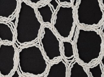 Photo of omicron natur