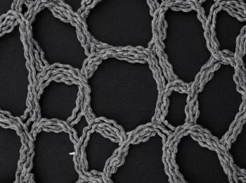 Photo of omicron grey