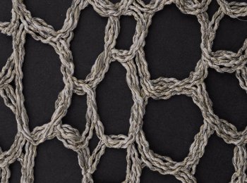 Photo of omicron d.taupe