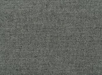 Photo of orbit anthrax